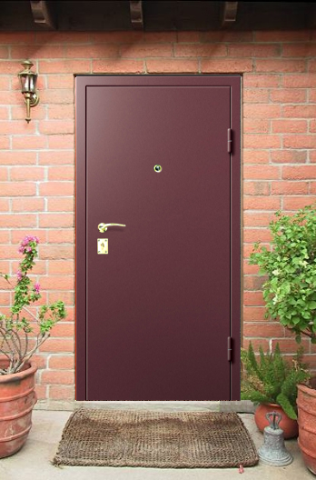Дверь входная металлическая с порошковым напылением ПН10