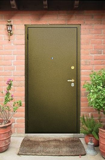 Дверь входная железная с порошковым напылением ПН73