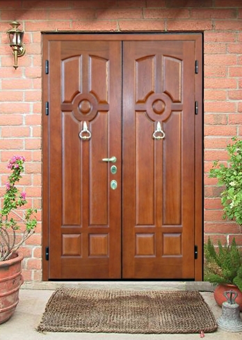 Дверь двойная металлическая ТБ3