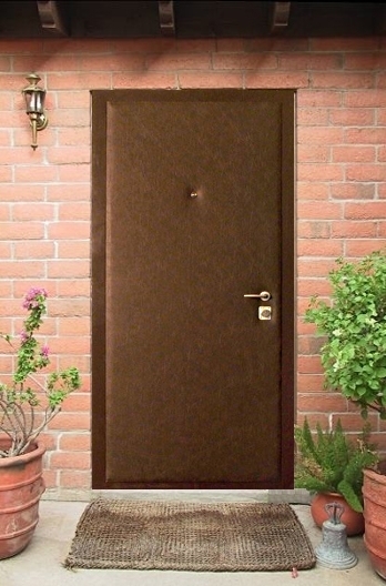 Дверь железная эконом класса В38